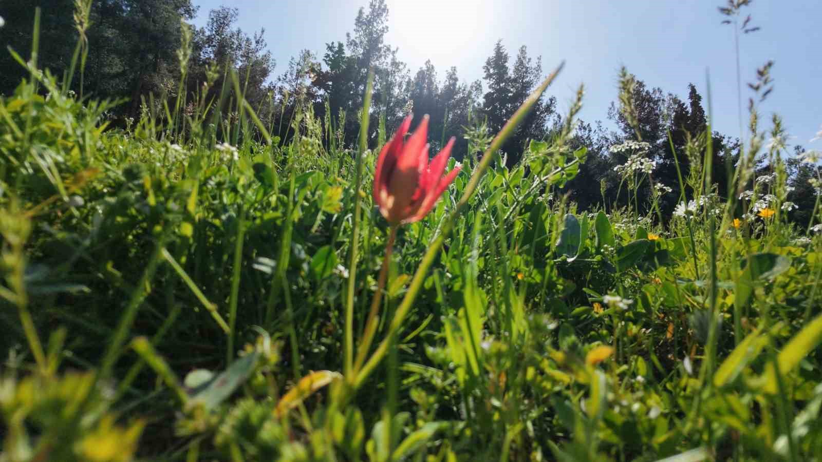 omru 10 gun koparmanin cezasi araba parasi 8 sViZfyd7