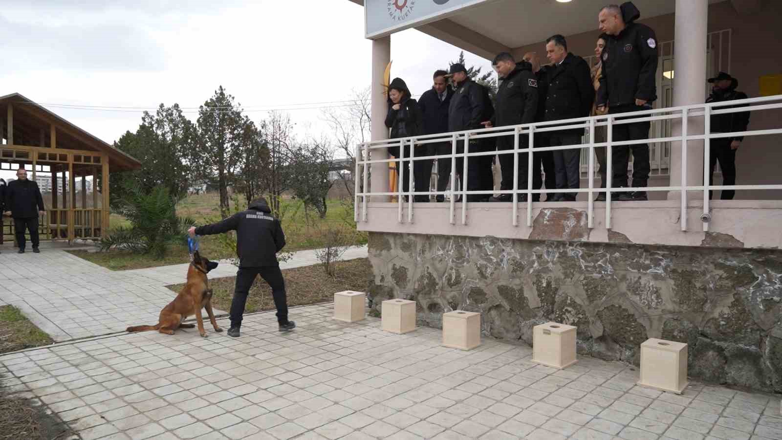 omude yetistirilen gorev kopegi pars samsun emniyetine teslim edildi 0 tdFsahmD