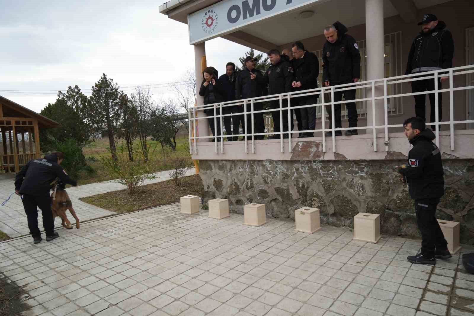 omude yetistirilen gorev kopegi pars samsun emniyetine teslim edildi 4 gz9Kem4l