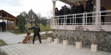 omude-yetistirilen-gorev-kopegi-pars-samsun-emniyetine-teslim-edildi-SMsdm1uv.jpg