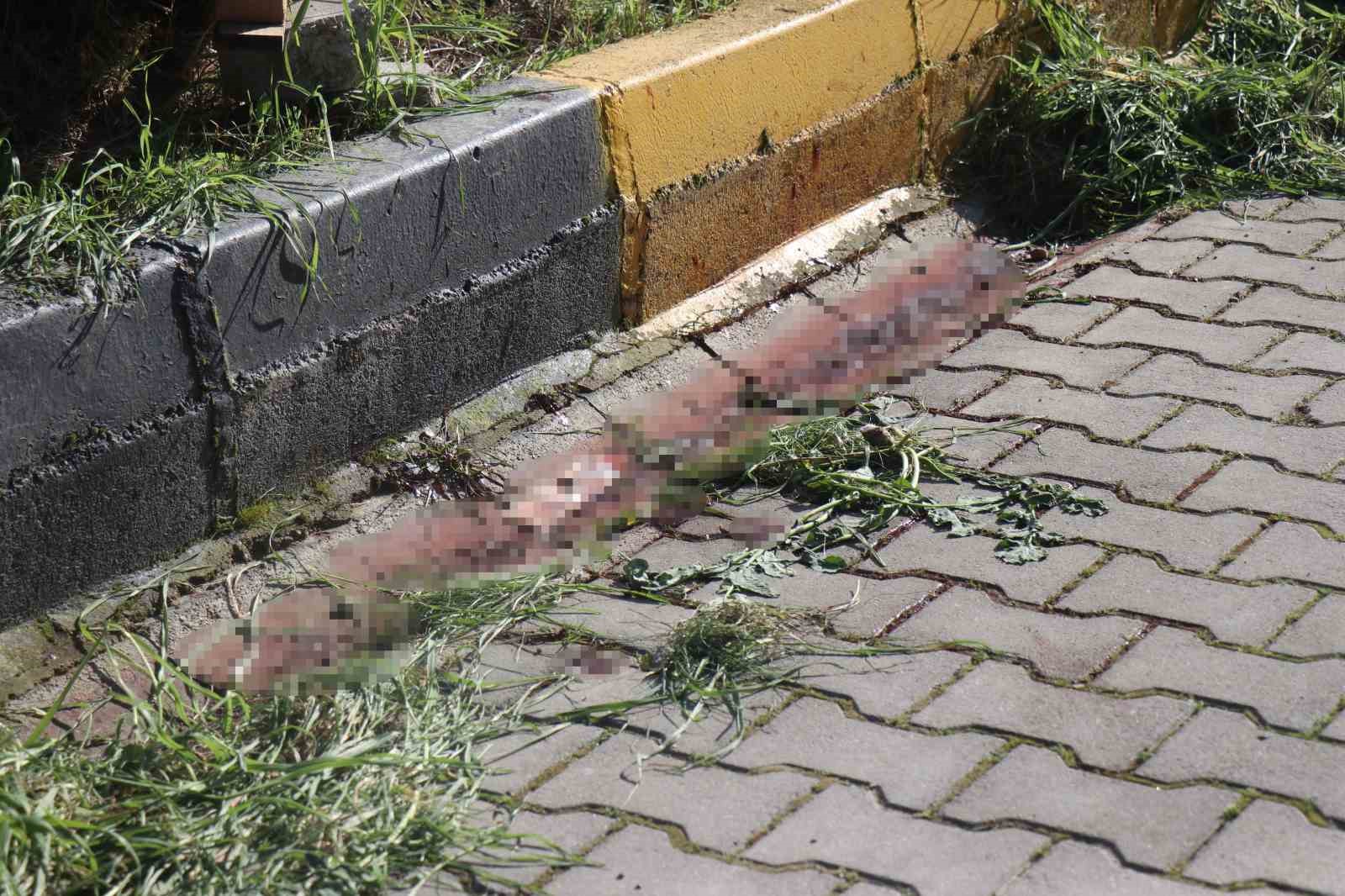 once esini sonra kendini vurmustu defin tarihleri belli oldu 5 RX1e7d3K