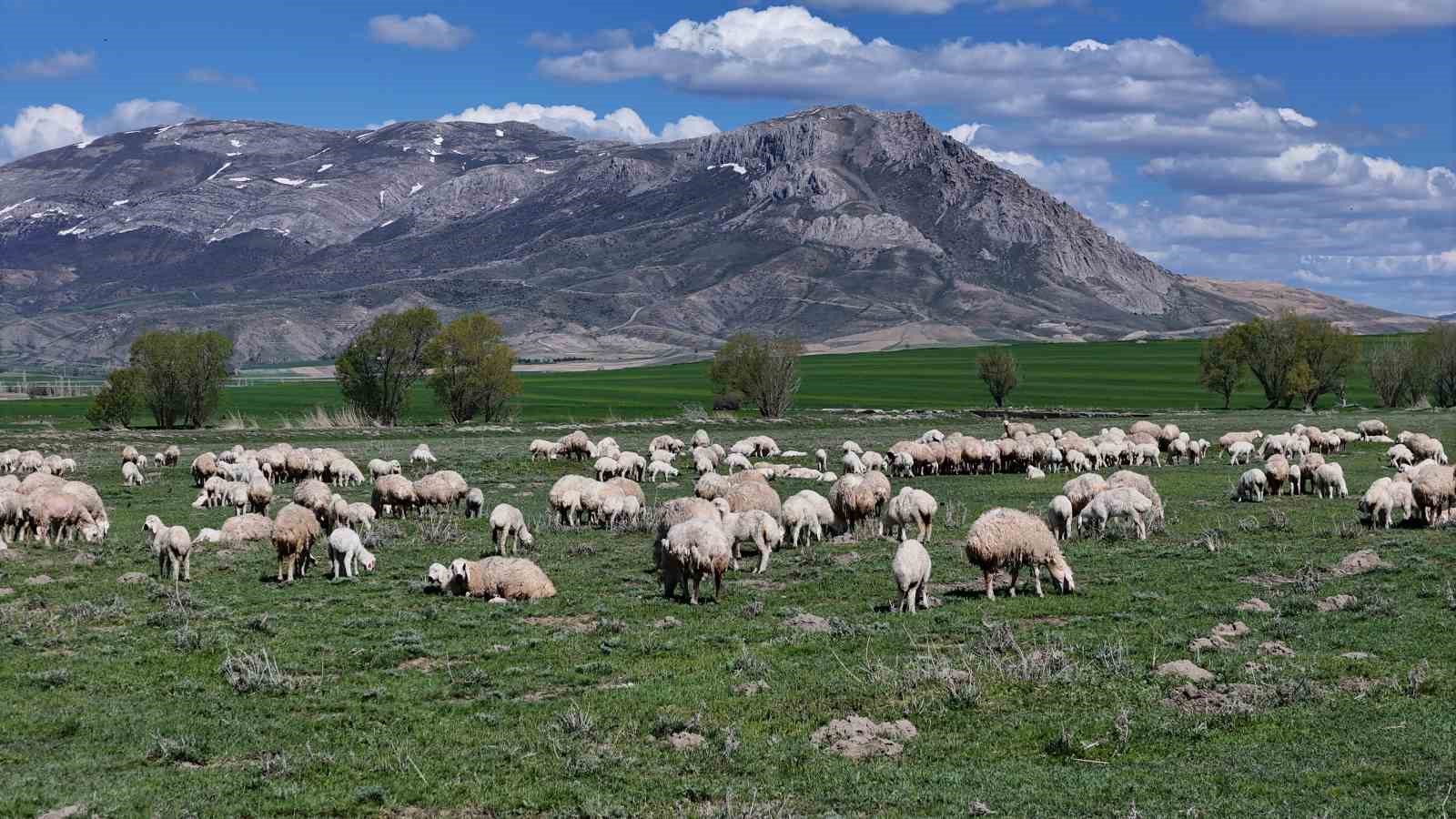 onlarcasi arasindan kendi annelerini koklayarak buldular 4 9z7VYqI2