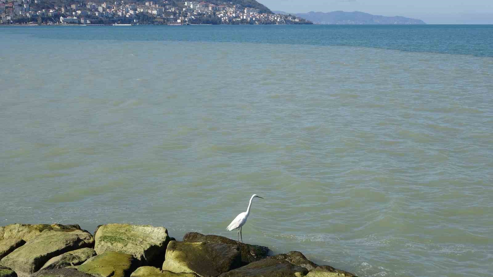 orduda eriyen kar sulari denizin rengini degistirdi 1 AWKeICJj
