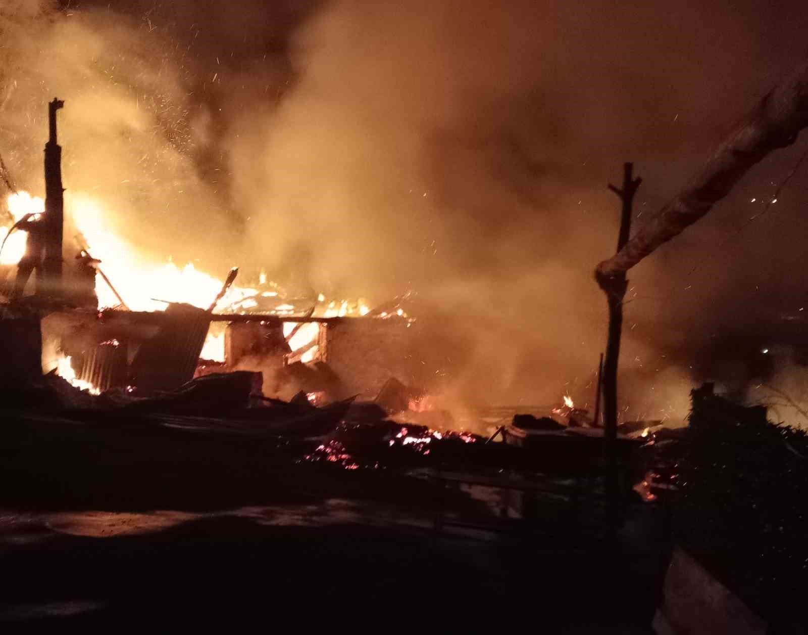 orduda evini atese veren sahis agacta asili halde bulundu 5