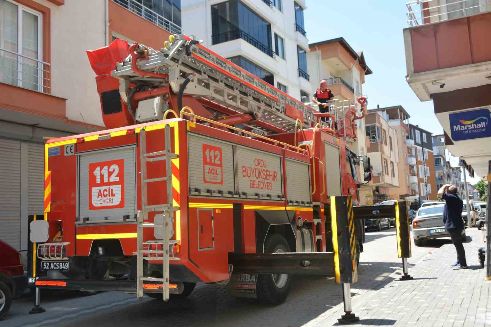 orduda itfaiye ekipleri ebabil kusu icin seferber oldu 1 lzF3jB4d