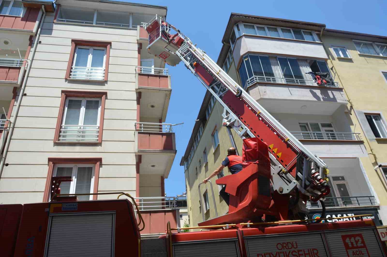 orduda itfaiye ekipleri ebabil kusu icin seferber oldu 3 pyb9OaXh