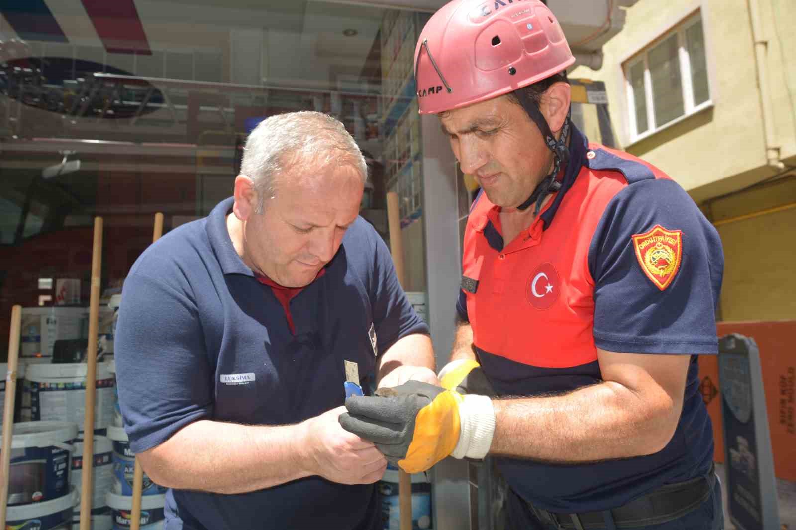 orduda itfaiye ekipleri ebabil kusu icin seferber oldu 5 weSbNQK1