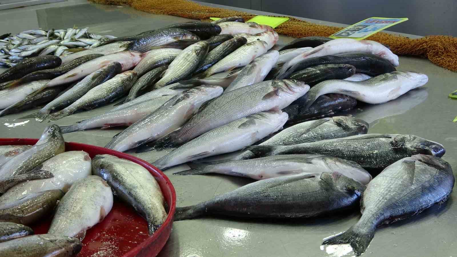 orduda kafeslerde uretilen baliklar 28 milyon euroluk ihracat geliri sagladi 0 y8t6RTjD