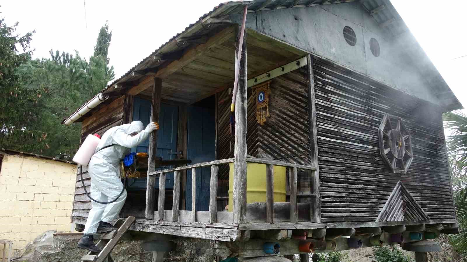 orduda kahverengi kokarca ile kislak mucadelesi 330 bin noktadan 190 bini ilaclandi 4 vTngltnh