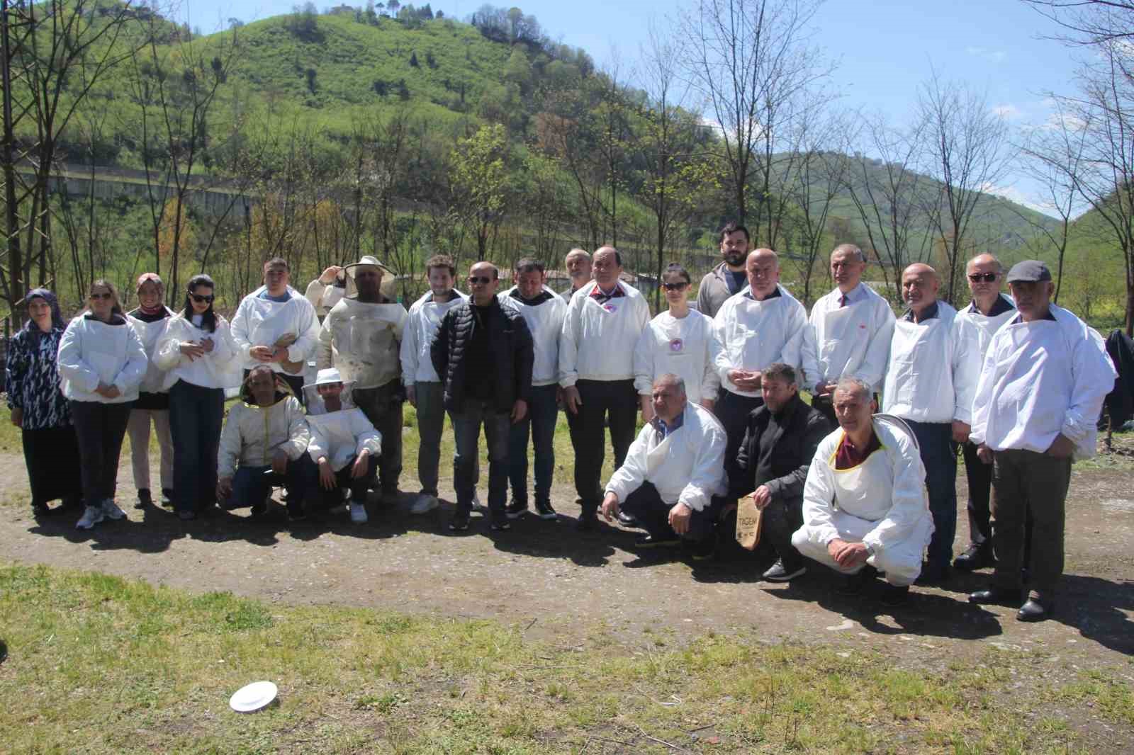 Ordu’da kraliçe arı hamlesi: Arıcılar hem üretecek hem satacak 7 orduda kralice ari hamlesi aricilar hem uretecek hem satacak 3 B4Lz3zMG
