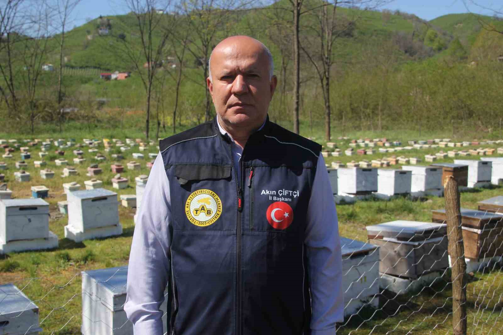 Ordu’da kraliçe arı hamlesi: Arıcılar hem üretecek hem satacak 8 orduda kralice ari hamlesi aricilar hem uretecek hem satacak 4 hwgNmK8c