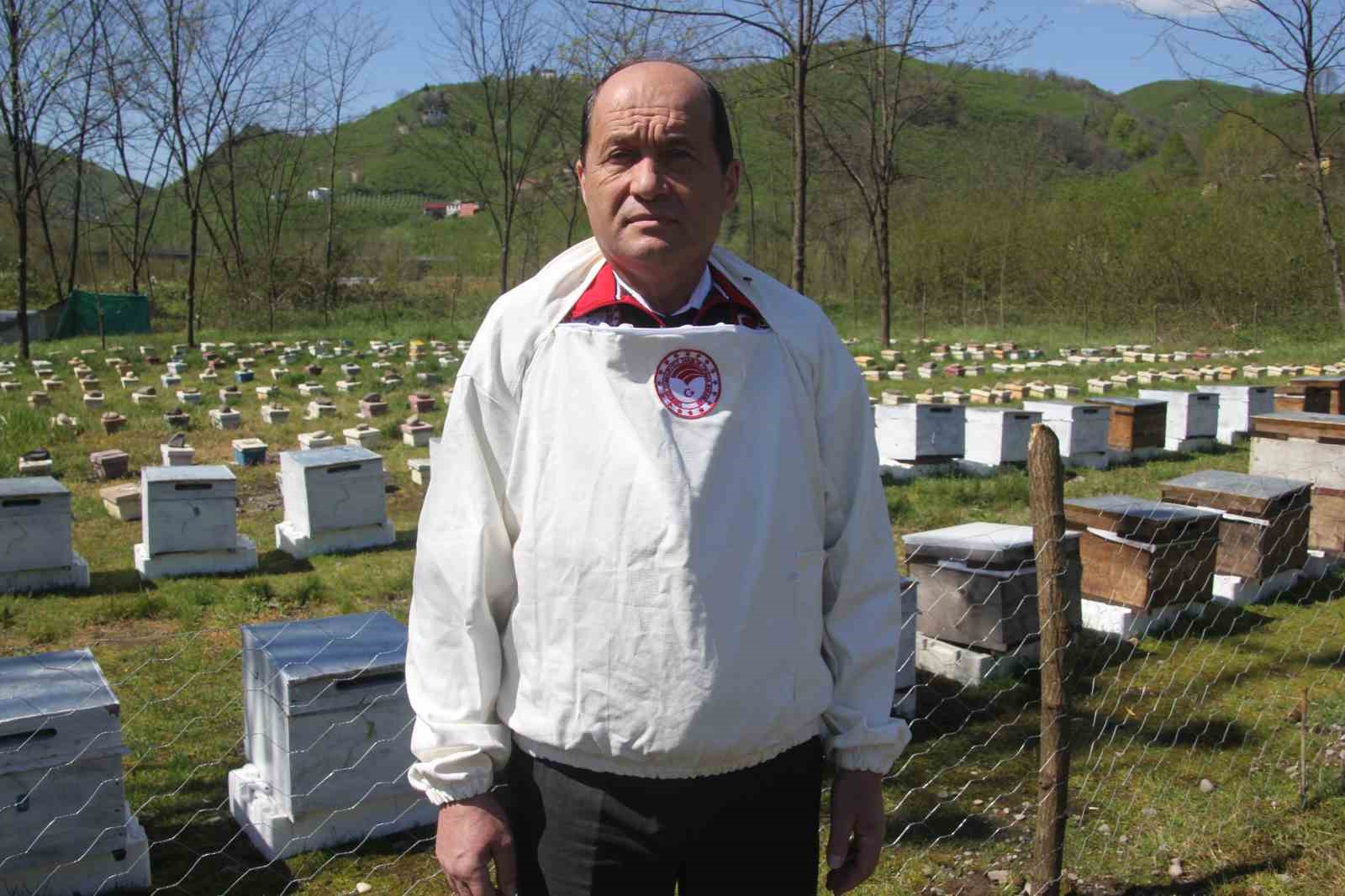 Ordu’da kraliçe arı hamlesi: Arıcılar hem üretecek hem satacak 9 orduda kralice ari hamlesi aricilar hem uretecek hem satacak 5 ZShwUnFJ