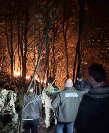 orduda-ormanlik-alanda-yangin-KBFIwCQy.jpg