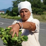 orduda-taze-findik-tezgahlarda-kilosu-200-lira-guvXIIkW.jpg