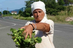 orduda-taze-findik-tezgahlarda-kilosu-200-lira-guvXIIkW.jpg