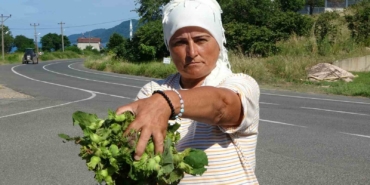 orduda-taze-findik-tezgahlarda-kilosu-200-lira-guvXIIkW.jpg