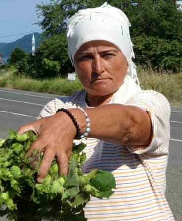 orduda-taze-findik-tezgahlarda-kilosu-200-lira-guvXIIkW.jpg