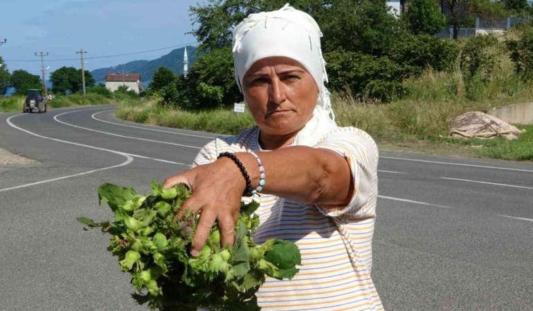 orduda-taze-findik-tezgahlarda-kilosu-200-lira-guvXIIkW.jpg