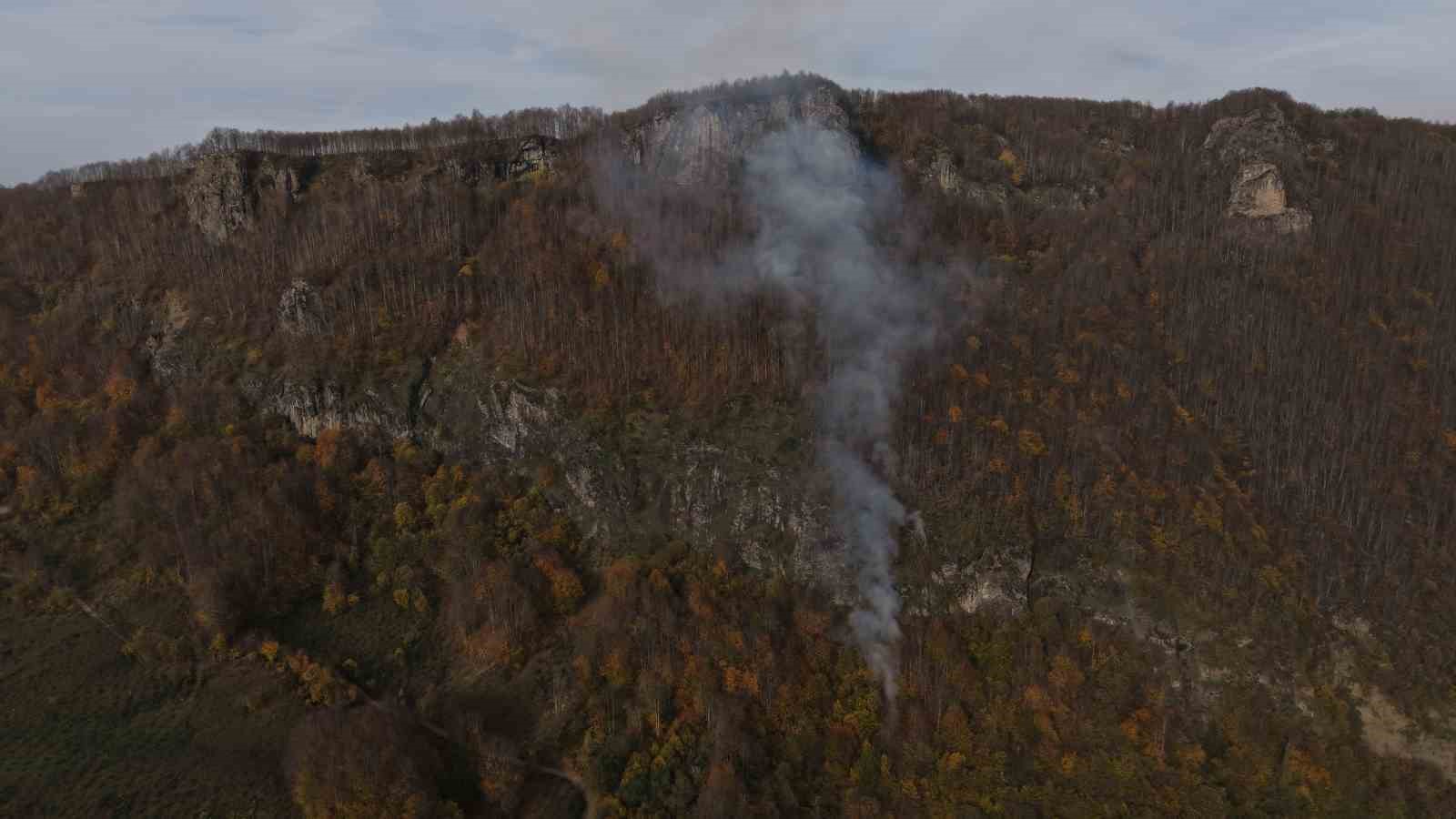 ordudaki ormanlik alandaki yangin kontrol altina alindi 1 C3lgMb8g