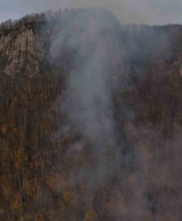 ordudaki-ormanlik-alandaki-yangin-kontrol-altina-alindi-shxqf3km.jpg