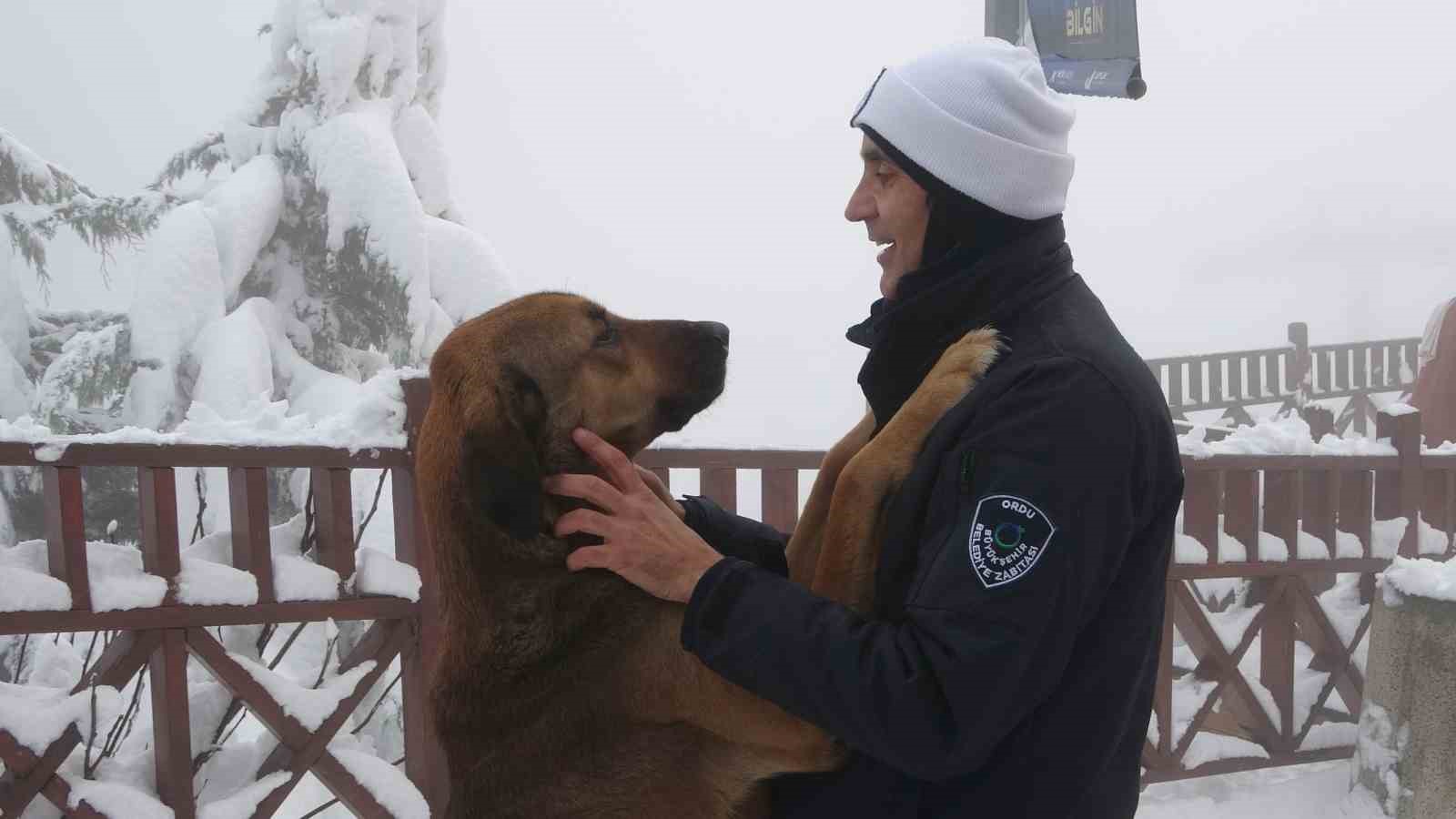 ordunun seyir terasi boztepede kar guzelligi 7 YENM7PdL