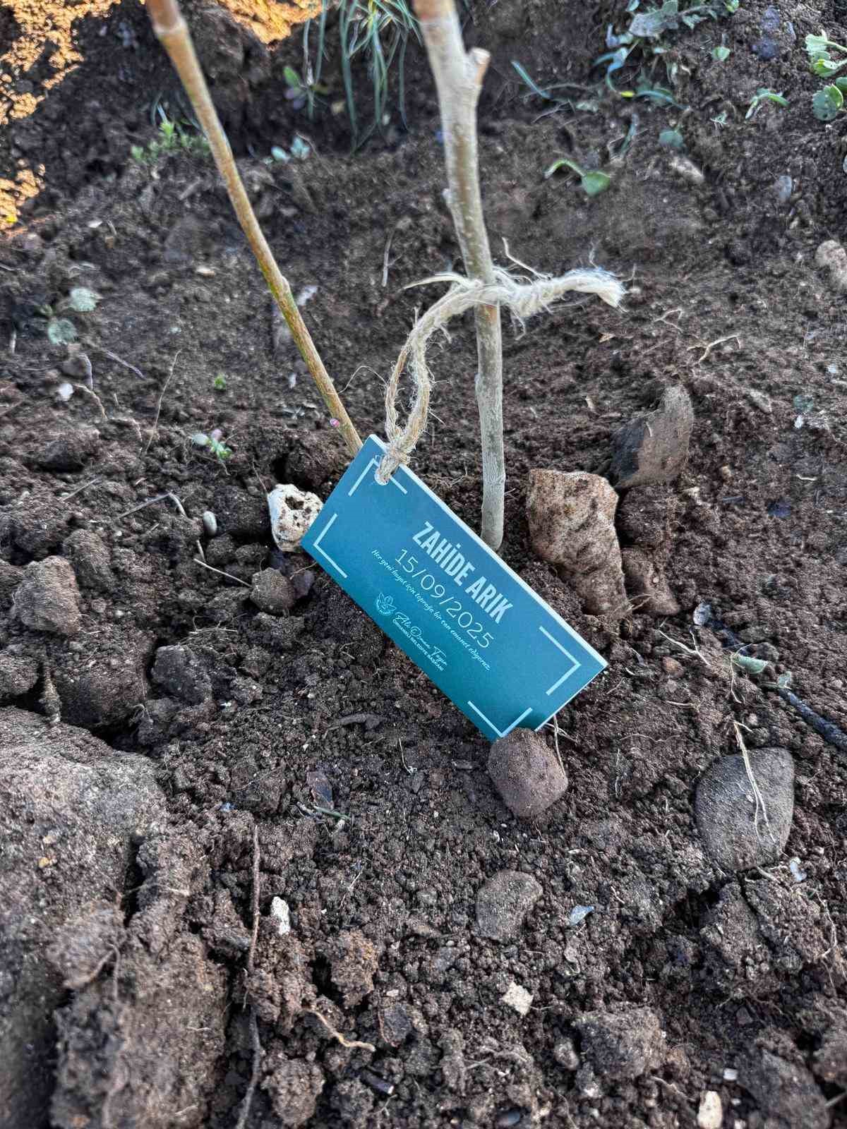 orhanelide 188 fidan toprakla bulustu 3