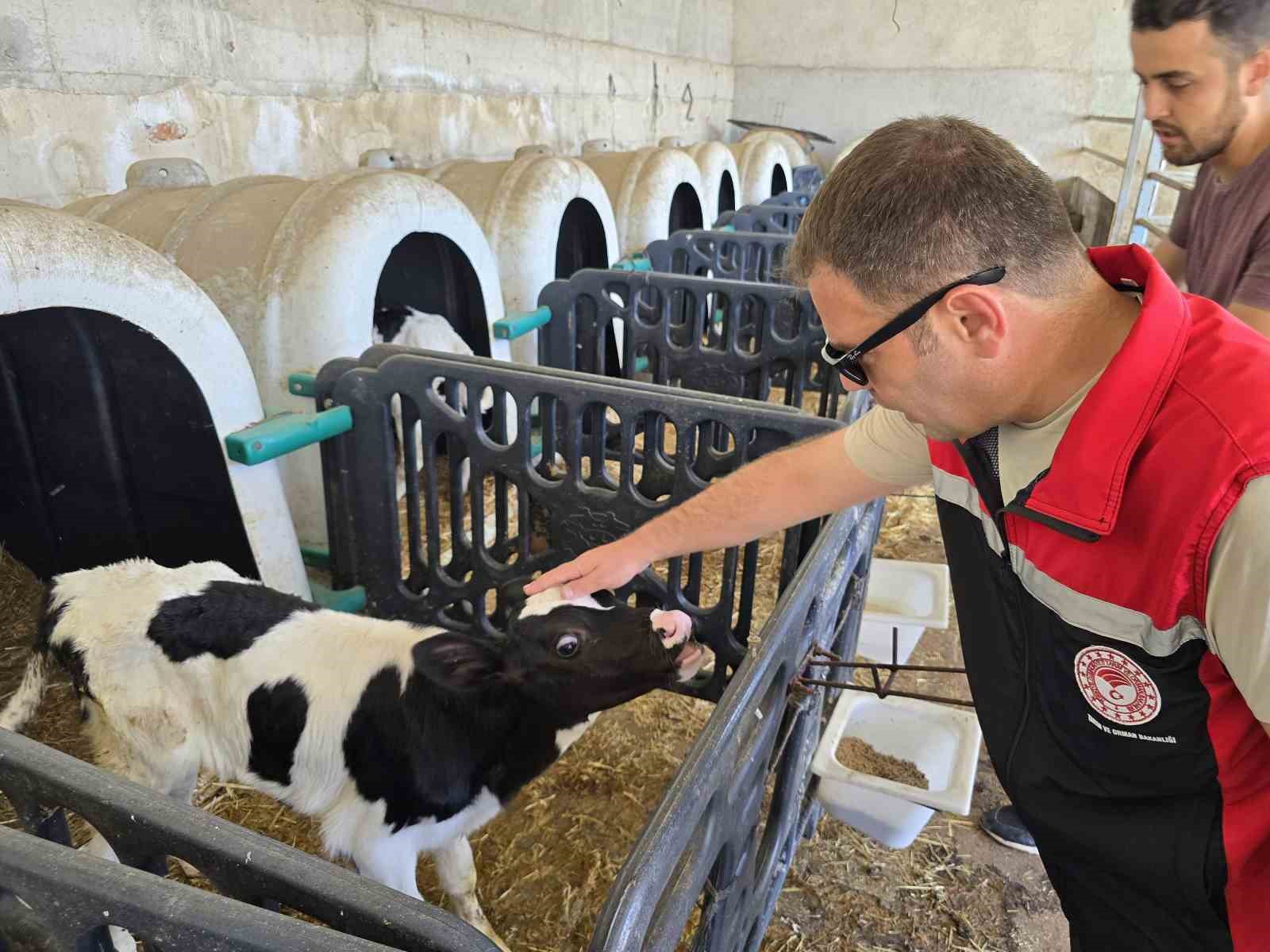 Orhaneli’de hayvan yetiştiren işletmeler kontrol edildi 4 orhanelide hayvan yetistiren isletmeler kontrol edildi 0 jeJ6M4rr