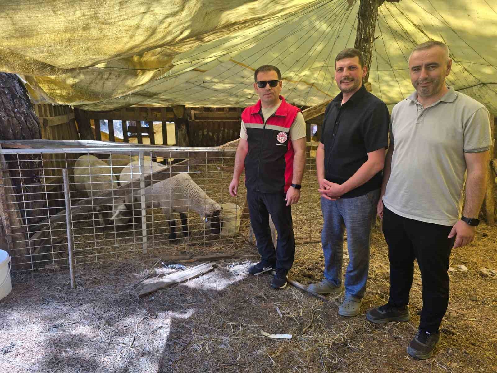 Orhaneli’de hayvan yetiştiren işletmeler kontrol edildi 5 orhanelide hayvan yetistiren isletmeler kontrol edildi 1 n5WWUnGQ