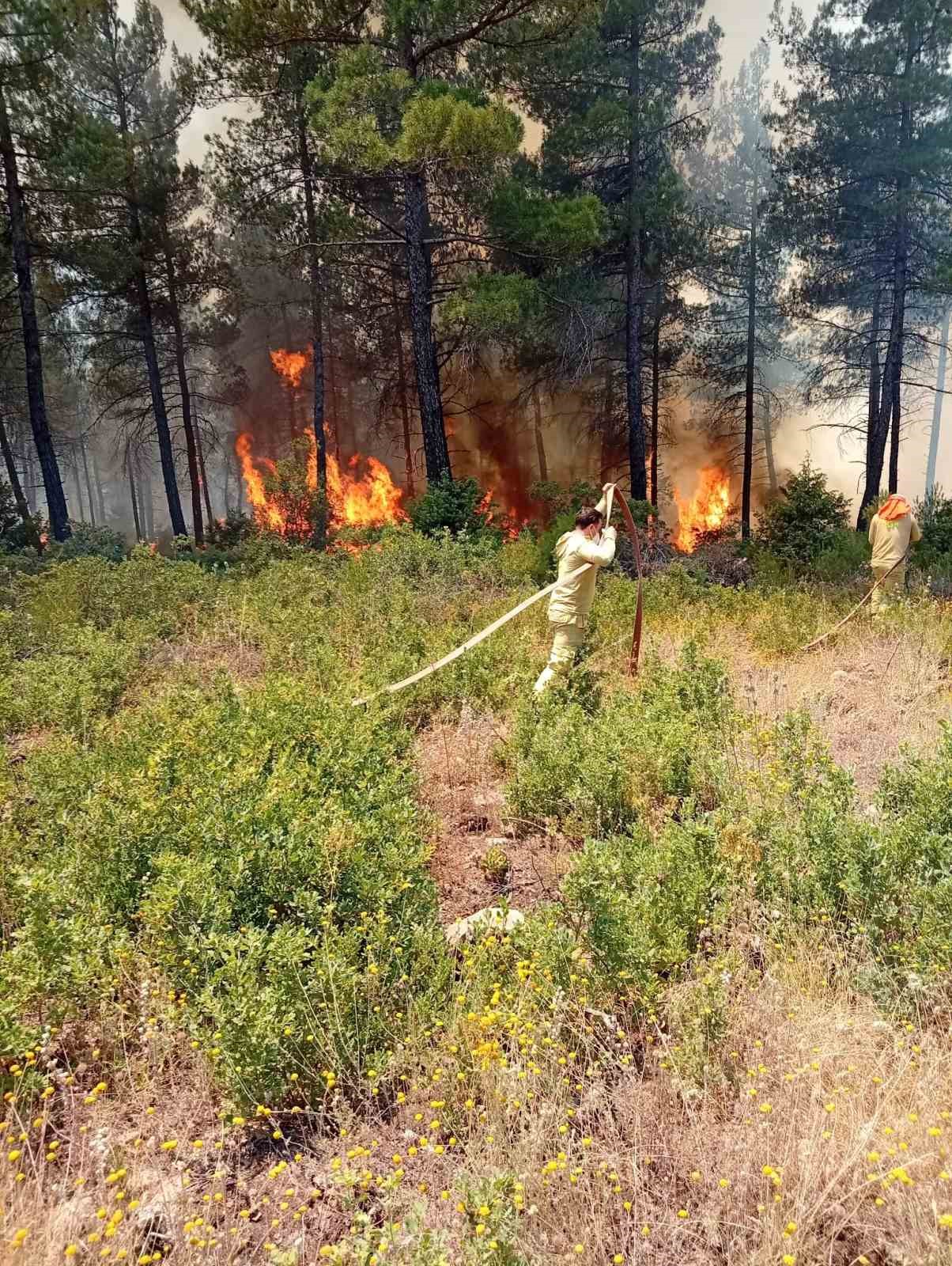orhanelide orman yangini 0 heJbwUCJ