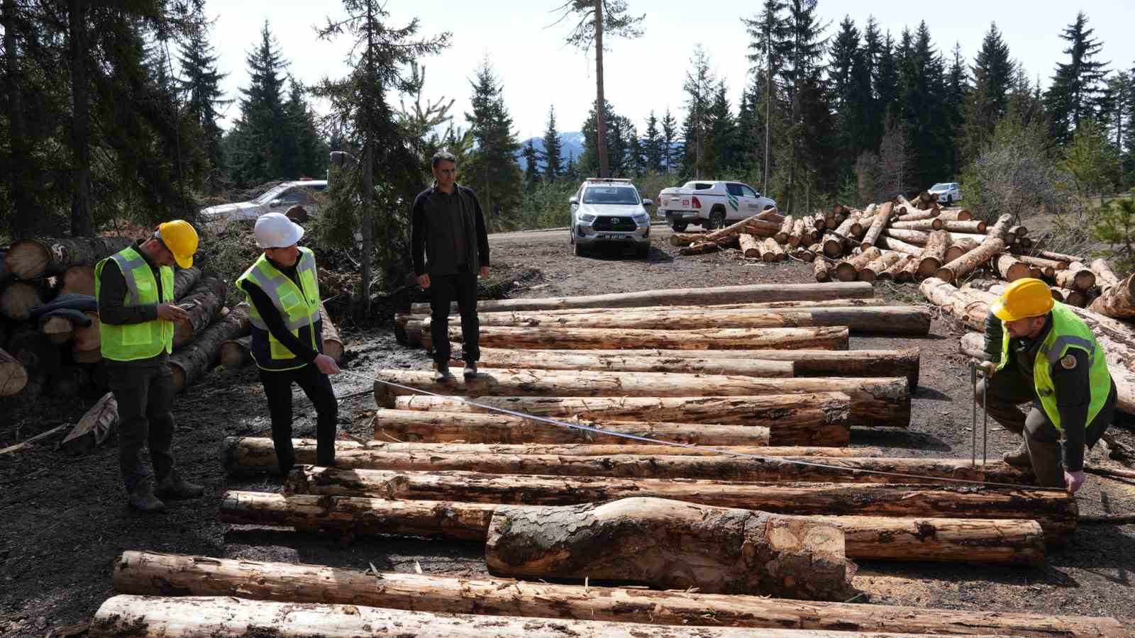 orman iscileri zorlu etaplari tamamladi 7 LiSndAab
