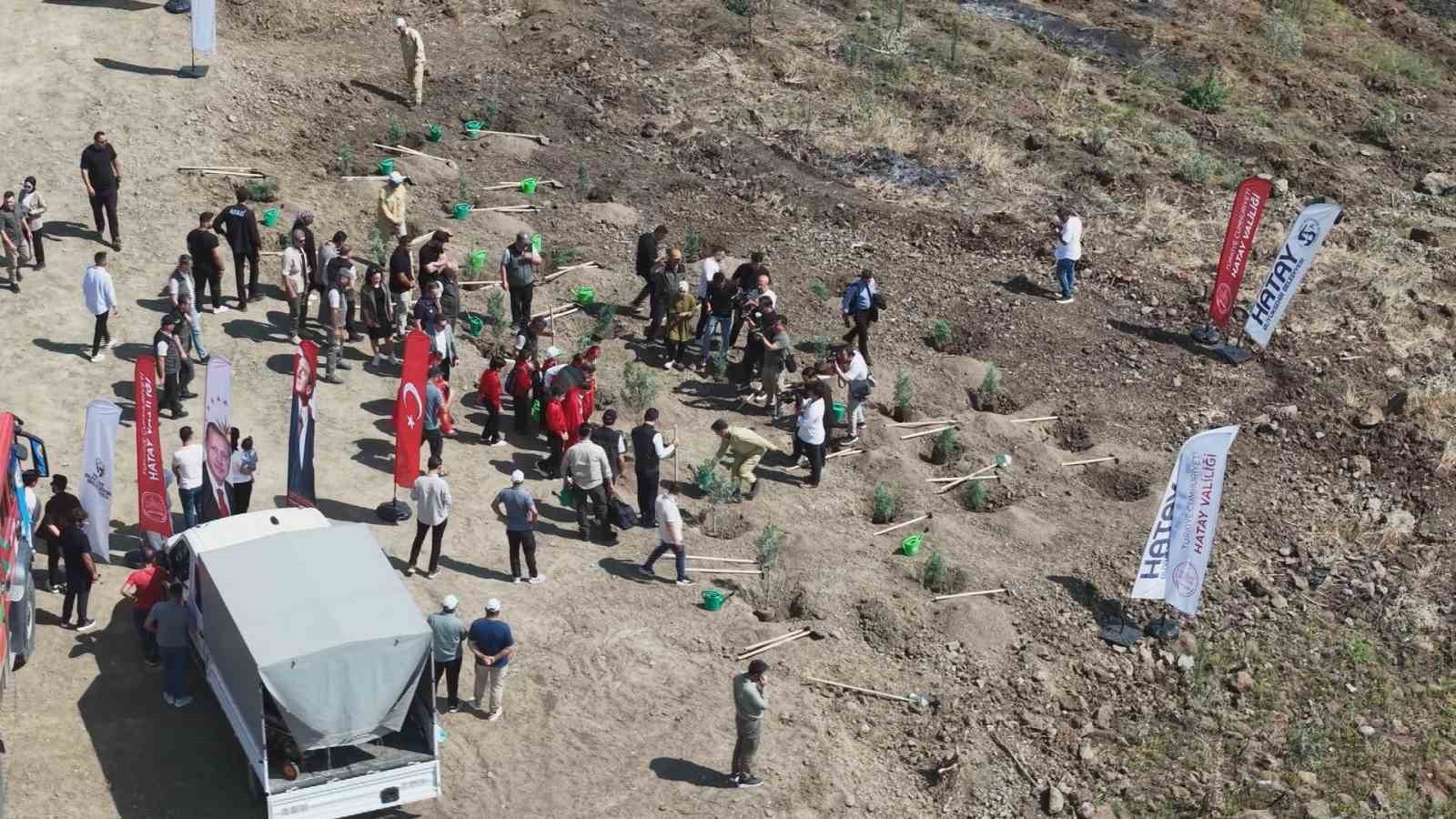 orman yanginindan zarar goren alana fidan ekildi 0 Wa7IJvuj