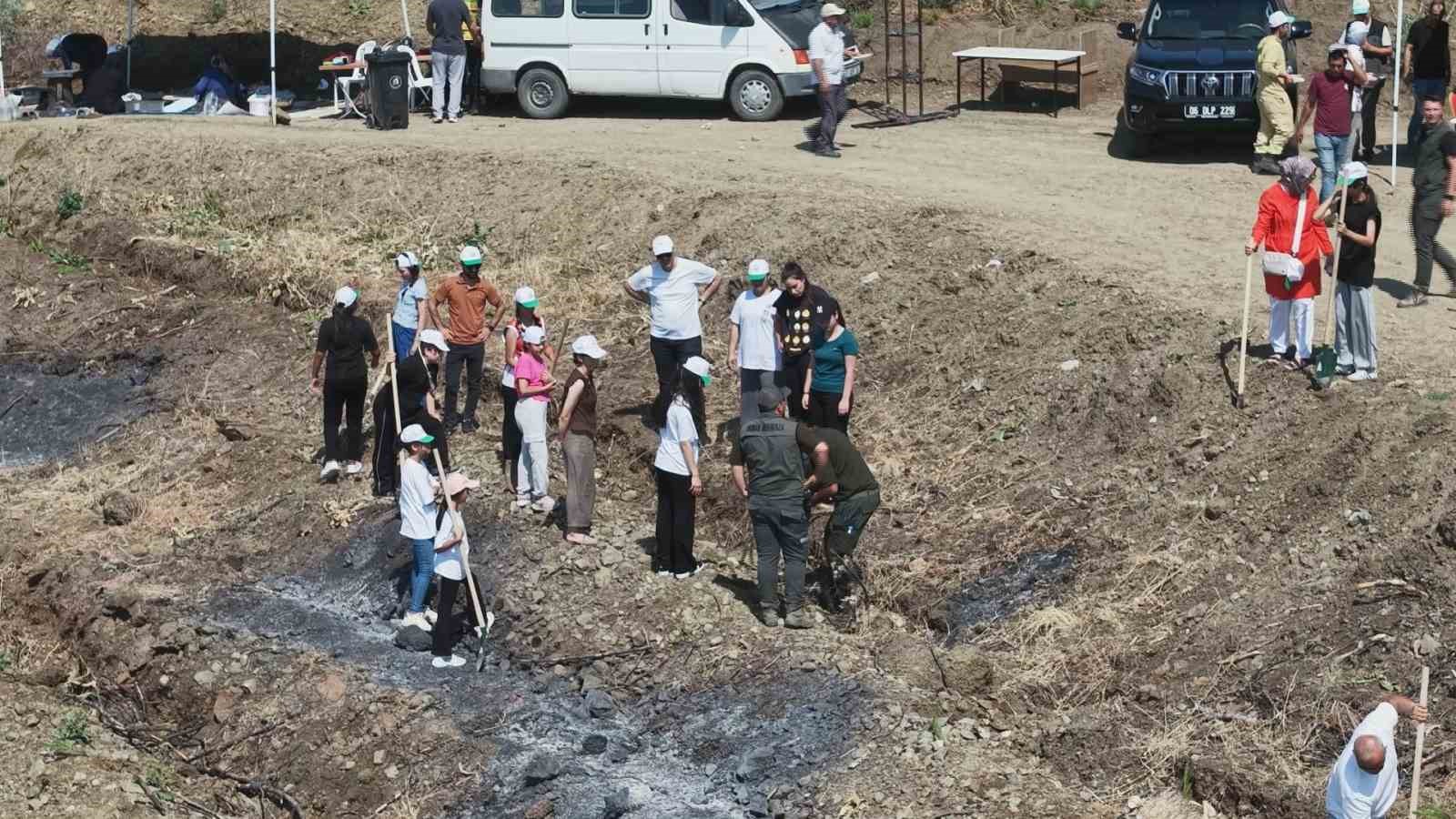orman yanginindan zarar goren alana fidan ekildi 1 i7SNk28V