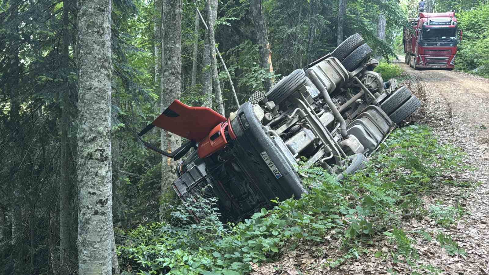 orman yolunda sarampole devrilen kamyonun surucusu yaralandi 0 nek66zTn