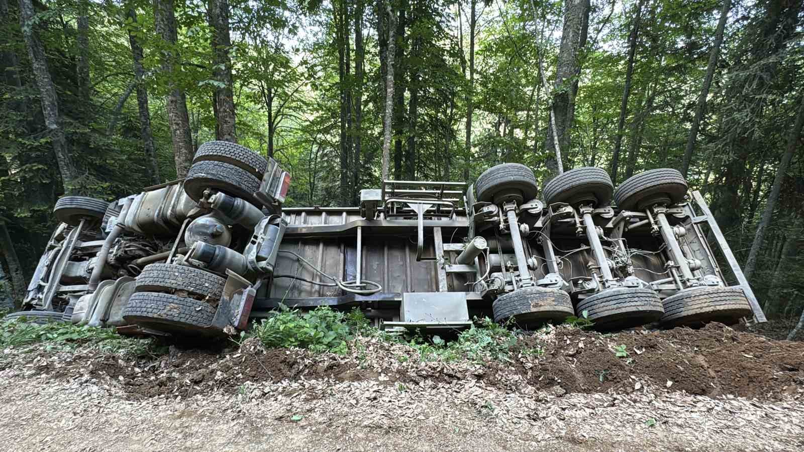 orman yolunda sarampole devrilen kamyonun surucusu yaralandi 1