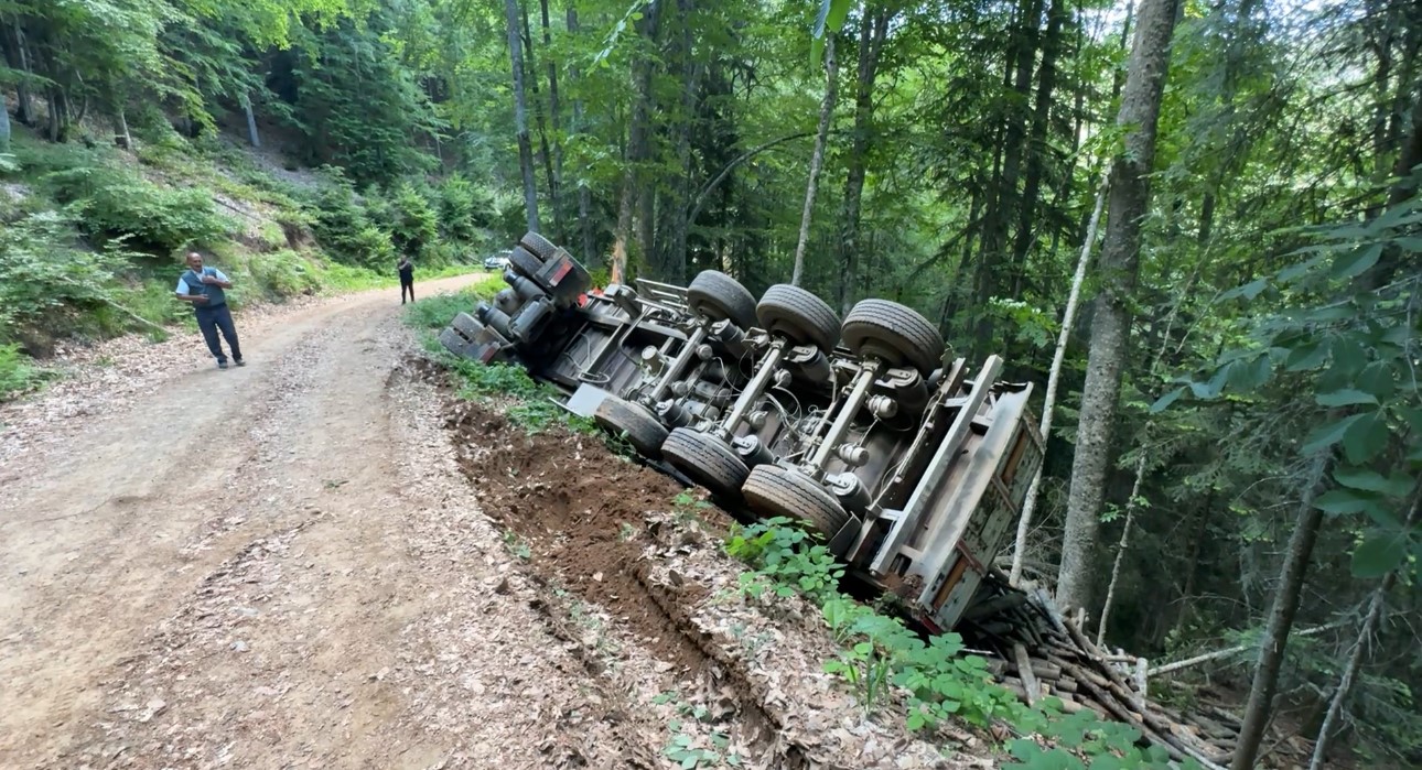 orman yolunda sarampole devrilen kamyonun surucusu yaralandi 2 9OsU4BIS