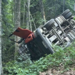 orman-yolunda-sarampole-devrilen-kamyonun-surucusu-yaralandi-xVxaAIaX.jpg