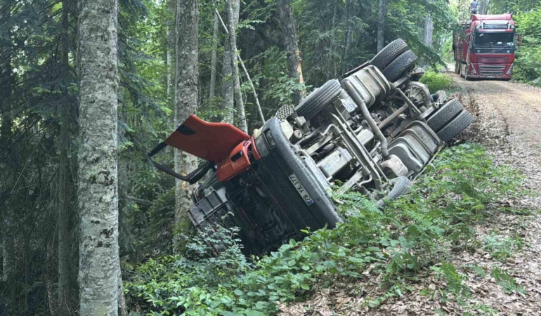 orman-yolunda-sarampole-devrilen-kamyonun-surucusu-yaralandi-xVxaAIaX.jpg