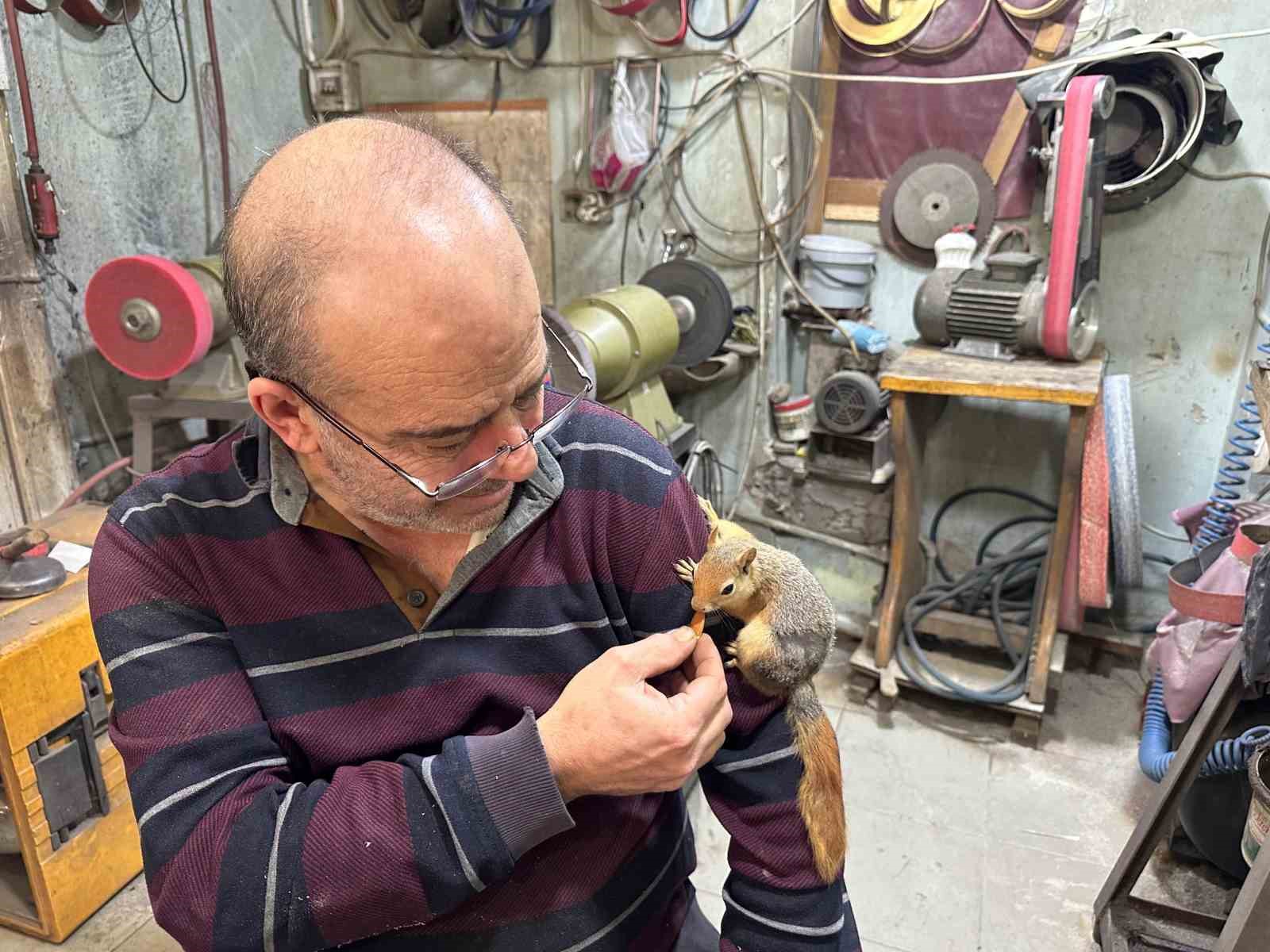 ormanda buldugu sincap en yakin dostu oldu 4 bQeawAIs