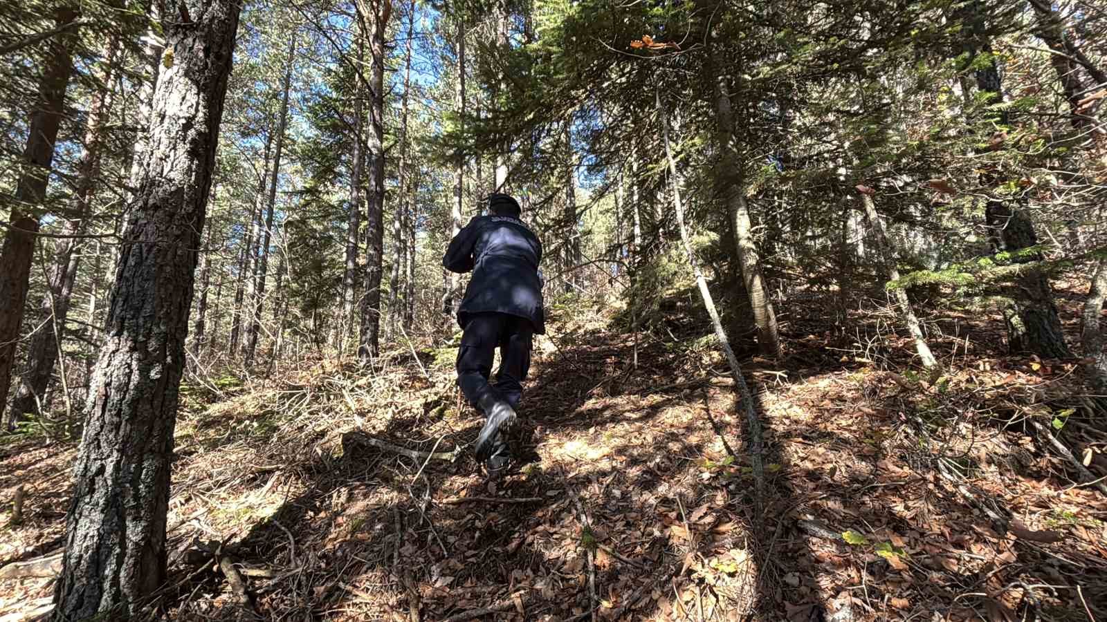 ormanda kaybolan 88 yasindaki adamdan aci haber dere yataginda cansiz bedenine ulasildi 3
