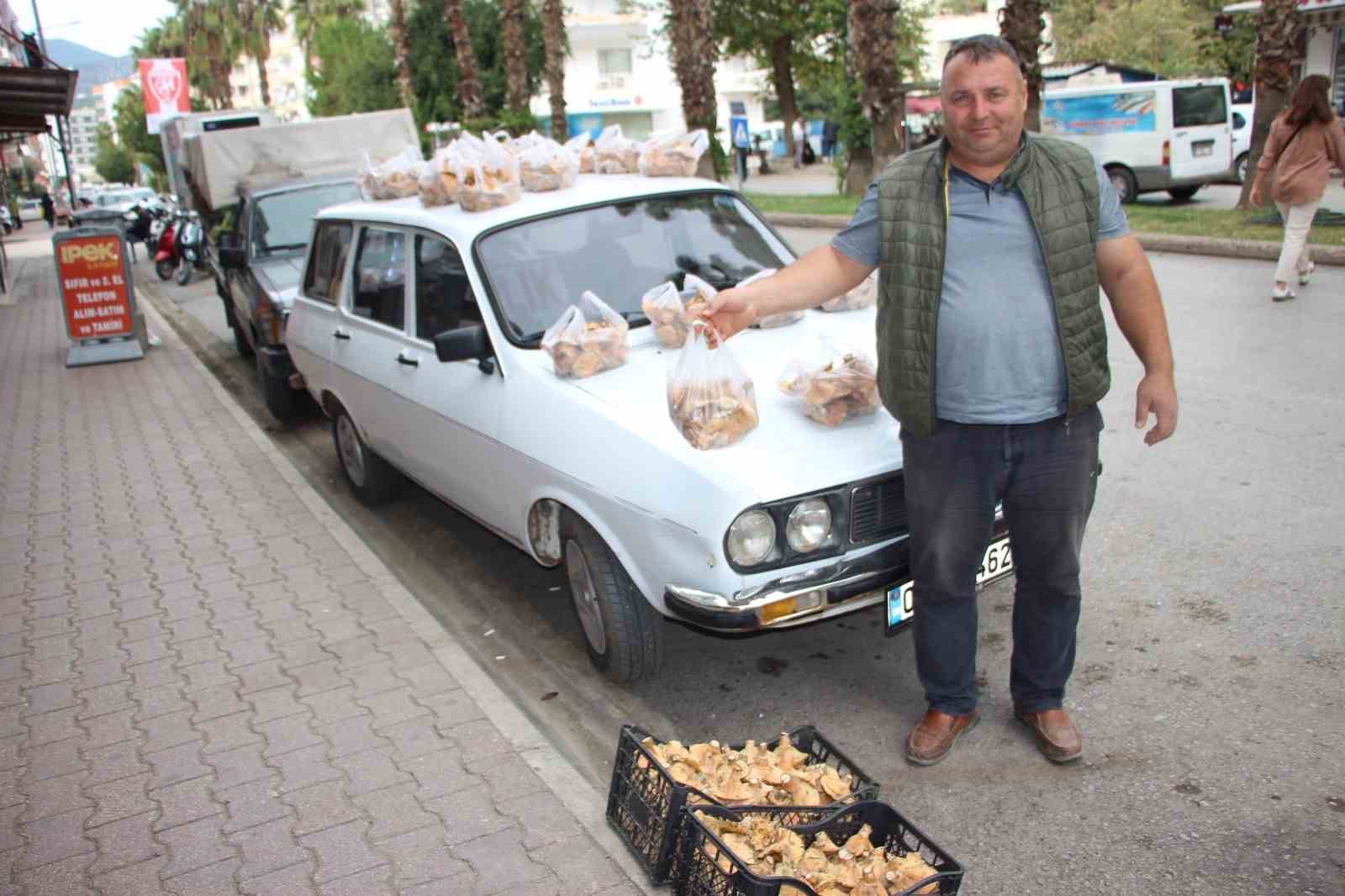 ormanda saganak yagmur altinda kendiliginden yetisiyor kilogrami 350 tlden satiliyor 0
