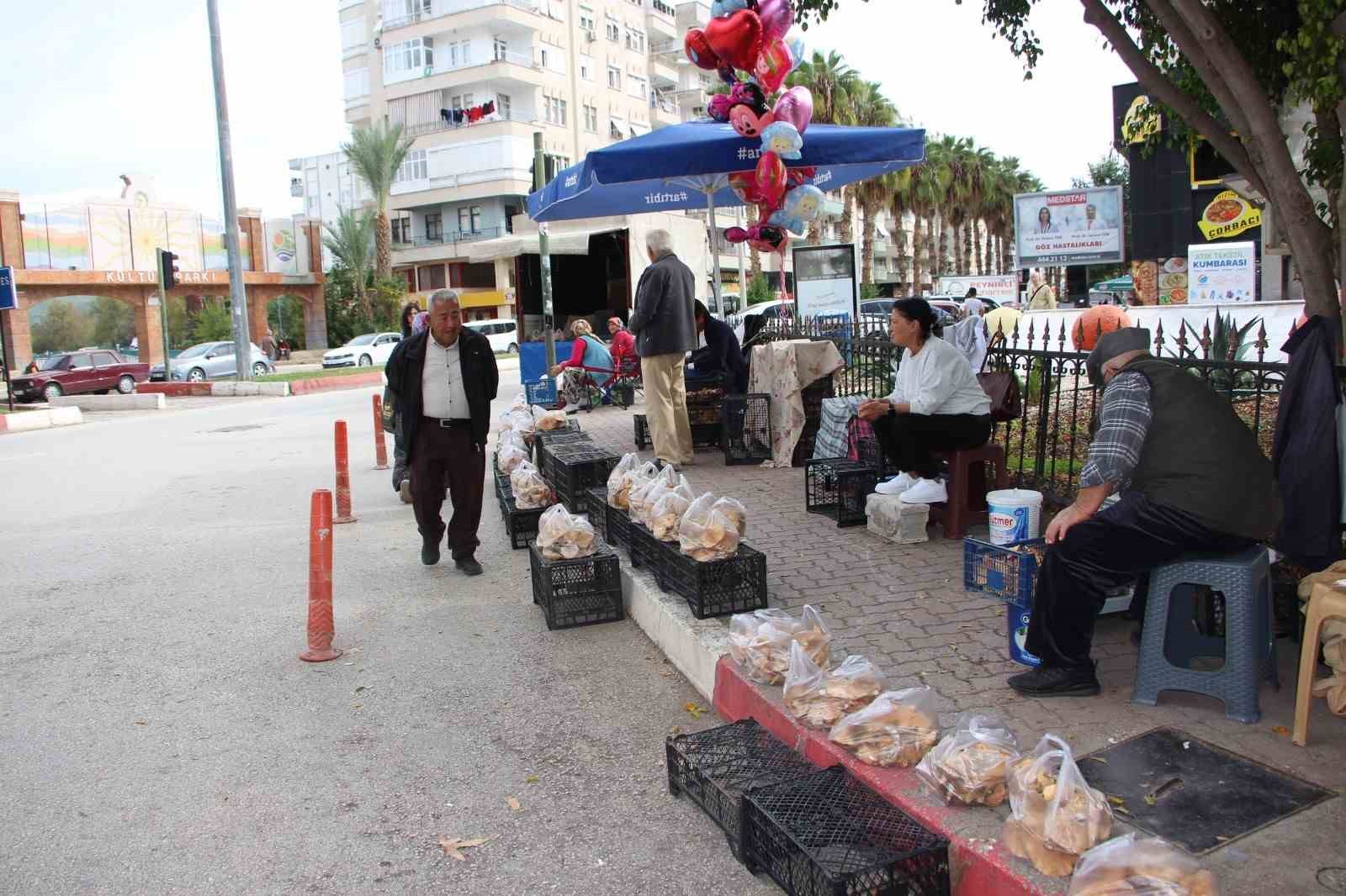 ormanda saganak yagmur altinda kendiliginden yetisiyor kilogrami 350 tlden satiliyor 5 isAQjE3s