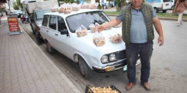 ormanda-saganak-yagmur-altinda-kendiliginden-yetisiyor-kilogrami-350-tlden-satiliyor-RZL1yCrr.jpg