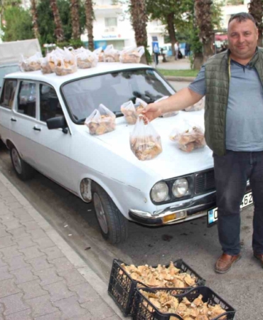 ormanda-saganak-yagmur-altinda-kendiliginden-yetisiyor-kilogrami-350-tlden-satiliyor-RZL1yCrr.jpg
