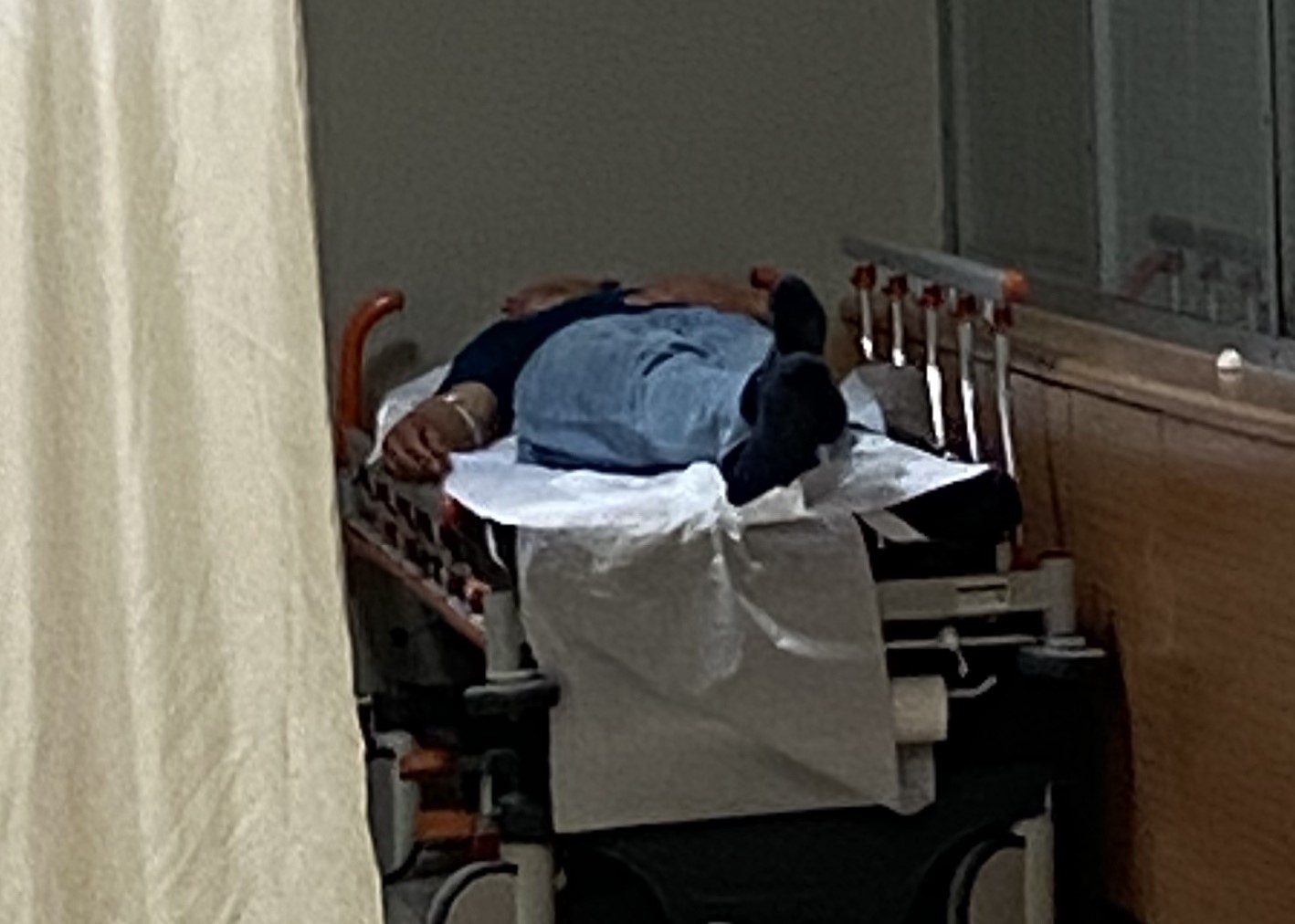 ormandaki mantarlari yiyen 7 kisi hastanelik oldu 2 S5hfV9sH