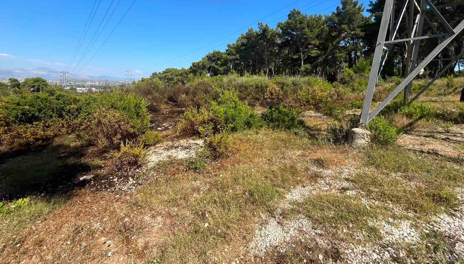 Ormanlık alanda çıkan yangın büyümeden söndürüldü 6 ormanlik alanda cikan yangin buyumeden sonduruldu 2 WtzEJVmN