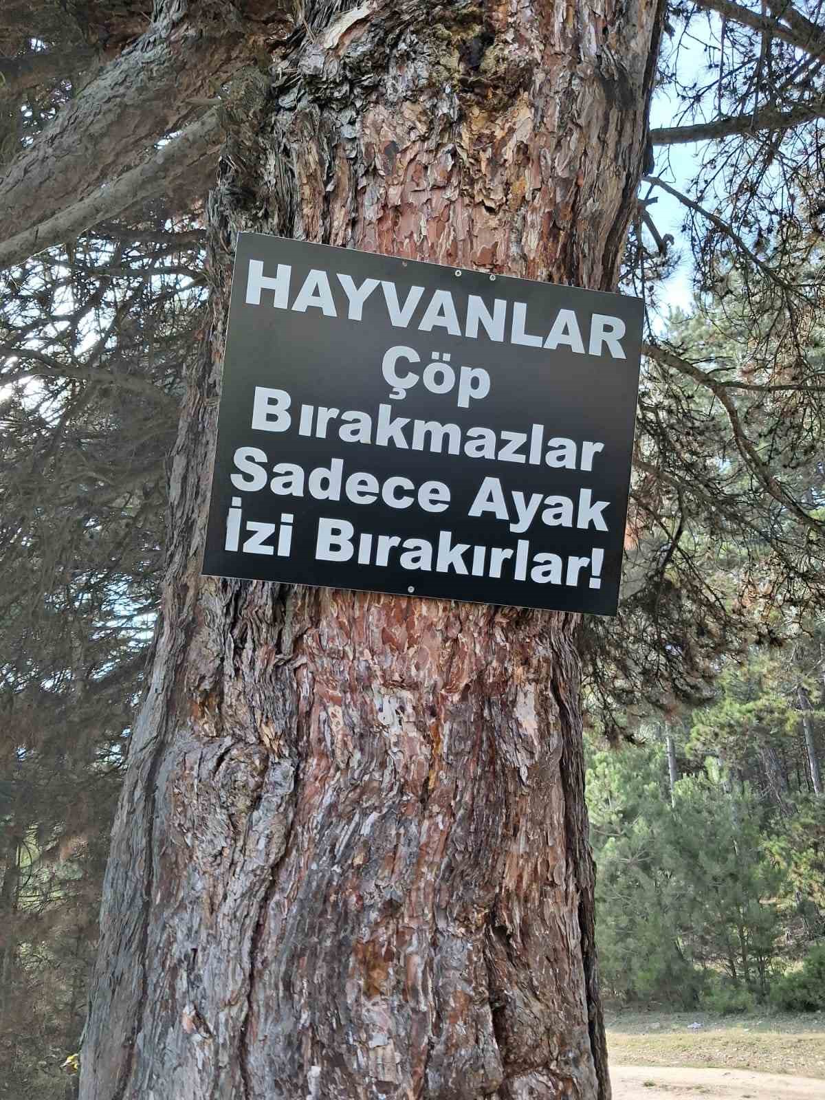 ormanlik alanda cop yiginlari 1 u7RB98n1