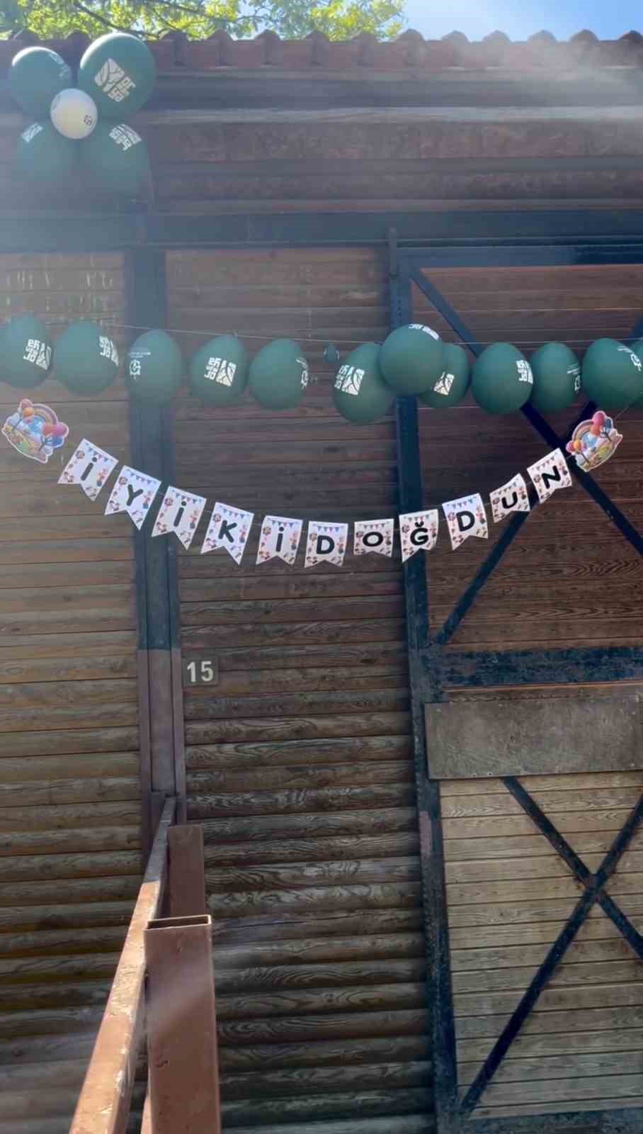 ormanyada dogan yavru deve icin renkli kutlama 3 DA8yrIF8