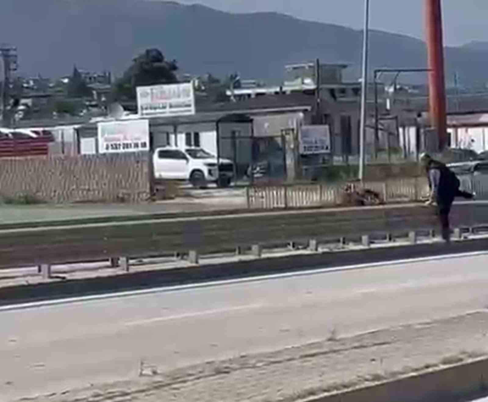 orta refujden atlayan kurbanlik keci sahibini geride birakti 1 wEkreJby