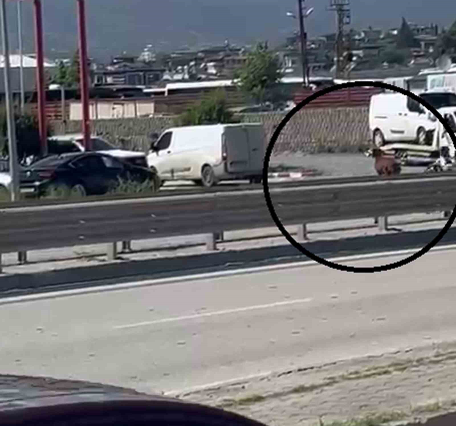 orta refujden atlayan kurbanlik keci sahibini geride birakti 4 lqaN8tqd