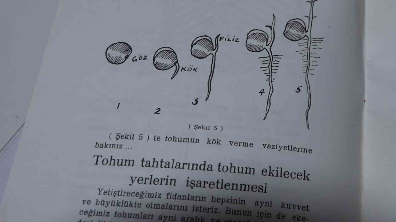 ortaya cikan arsiv turk cayinin tarihine isik tutuyor 3 5RFrhcpb